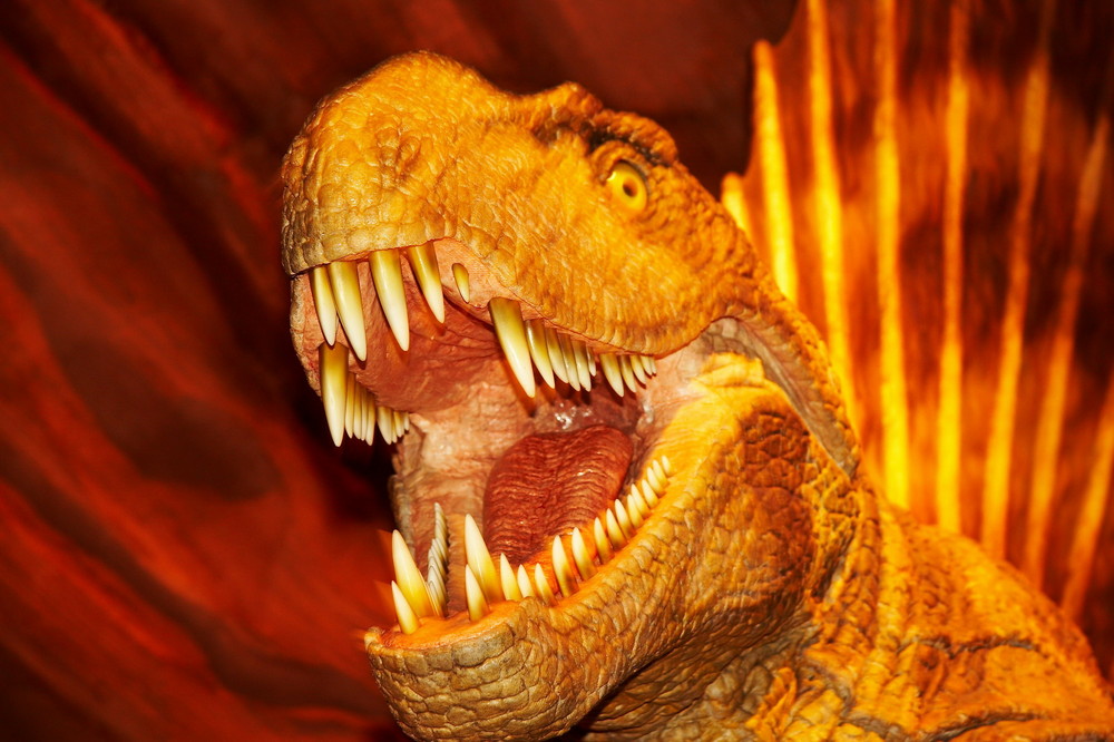 Gondwana Foto & Bild kunstfotografie & kultur, museales, natur Bilder