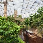 Gondwanaland