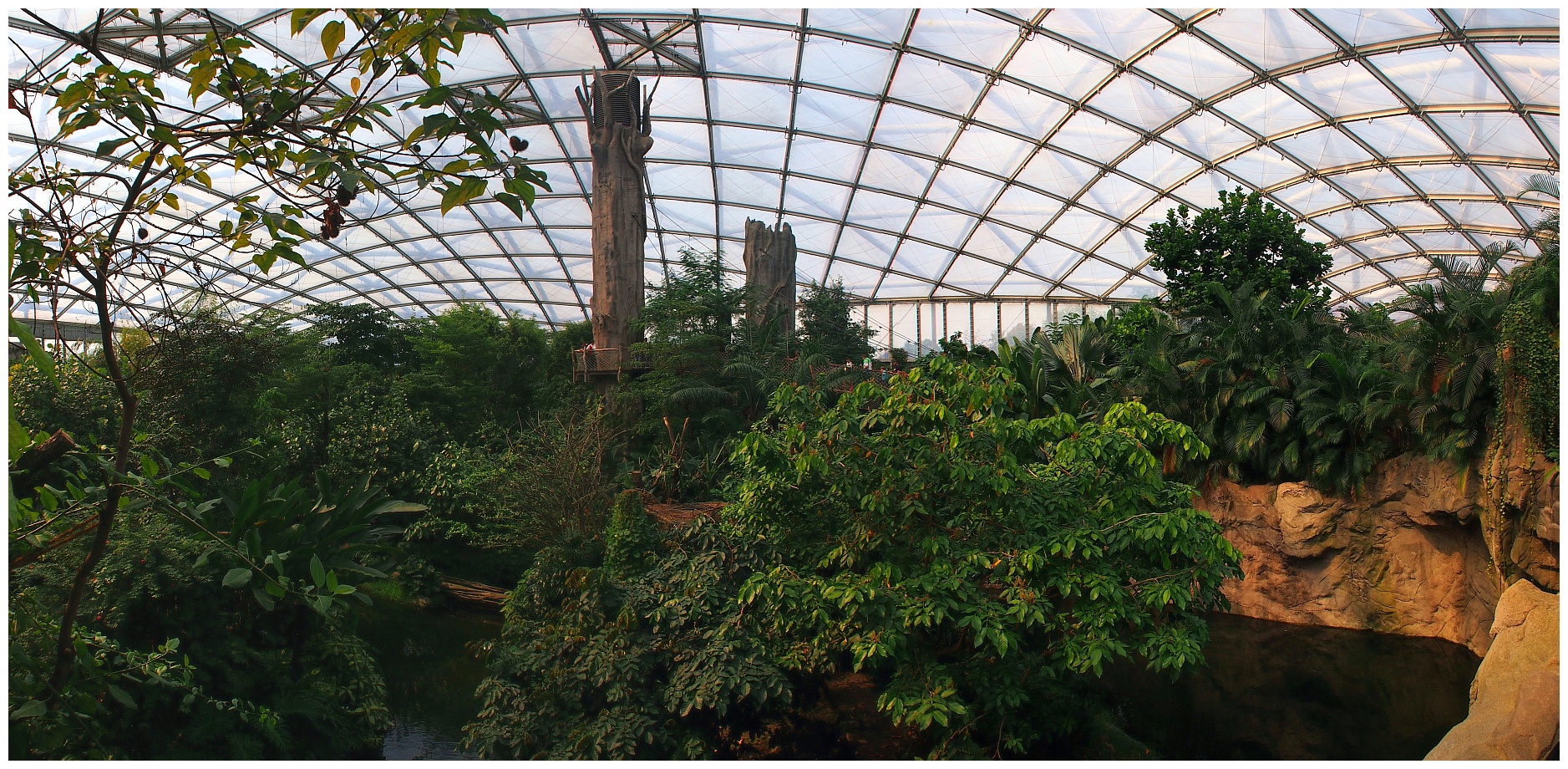 Gondwanaland - Der Dschungel in der Stadt