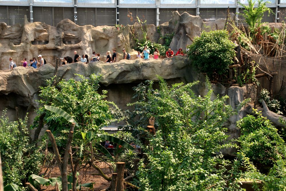 Gondwanaland im Zoo Leipzig: Beobachtungsgalerie