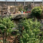 Gondwanaland im Zoo Leipzig: Beobachtungsgalerie