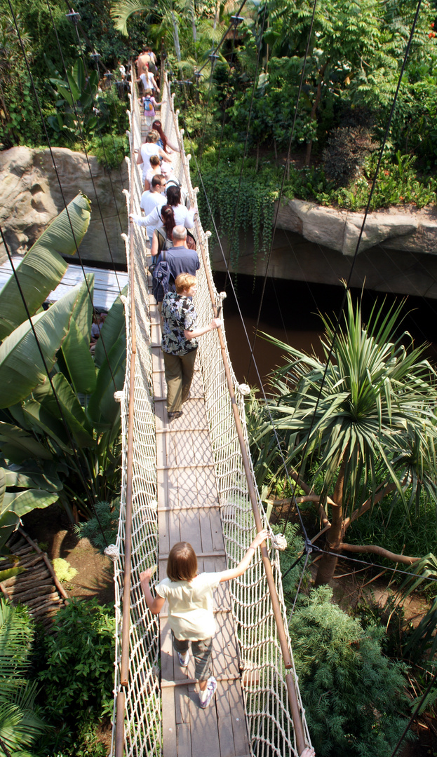 Gondwanaland im Zoo Leipzig: Hängepartie