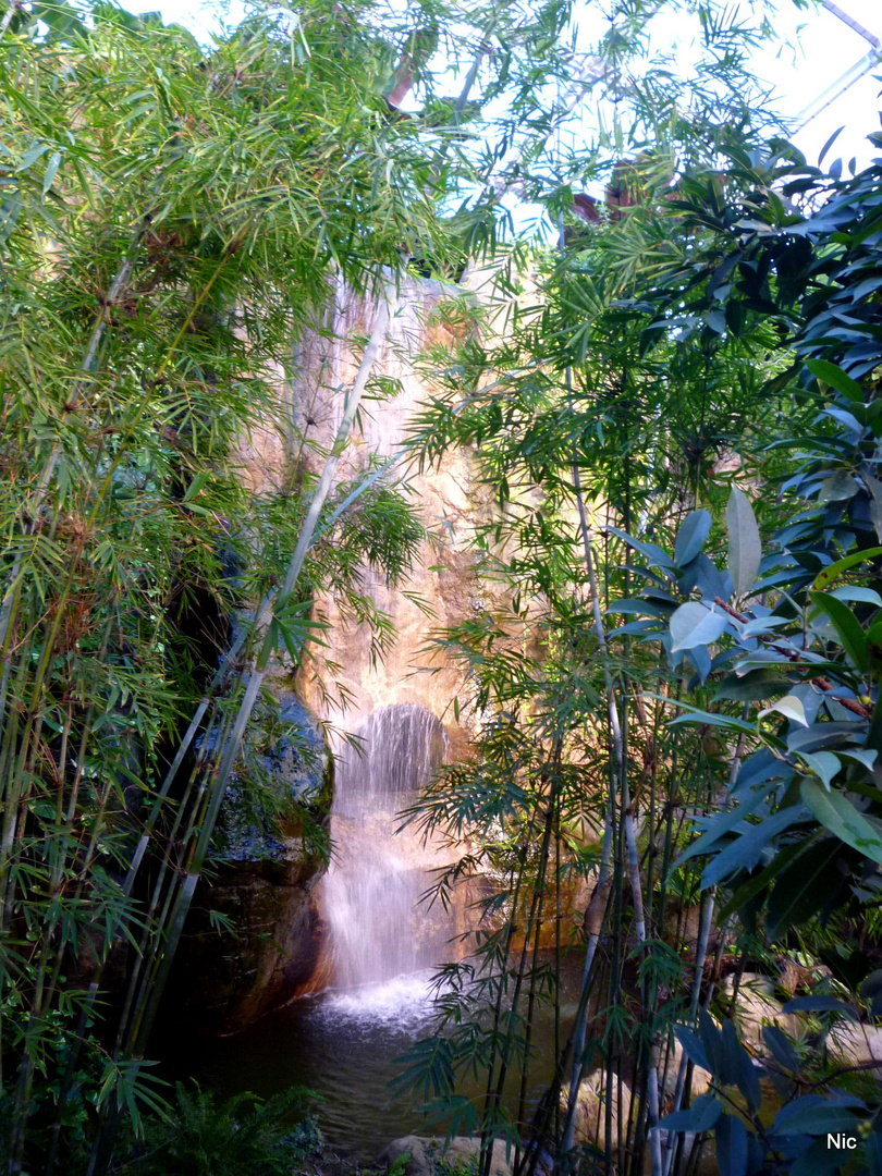 Gondwanaland - Leipzig Zoo 2012