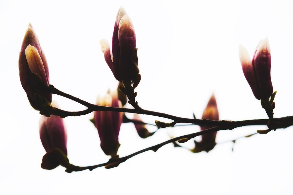 gone-away-foto-bild-fotos-park-outdoor-bilder-auf-fotocommunity