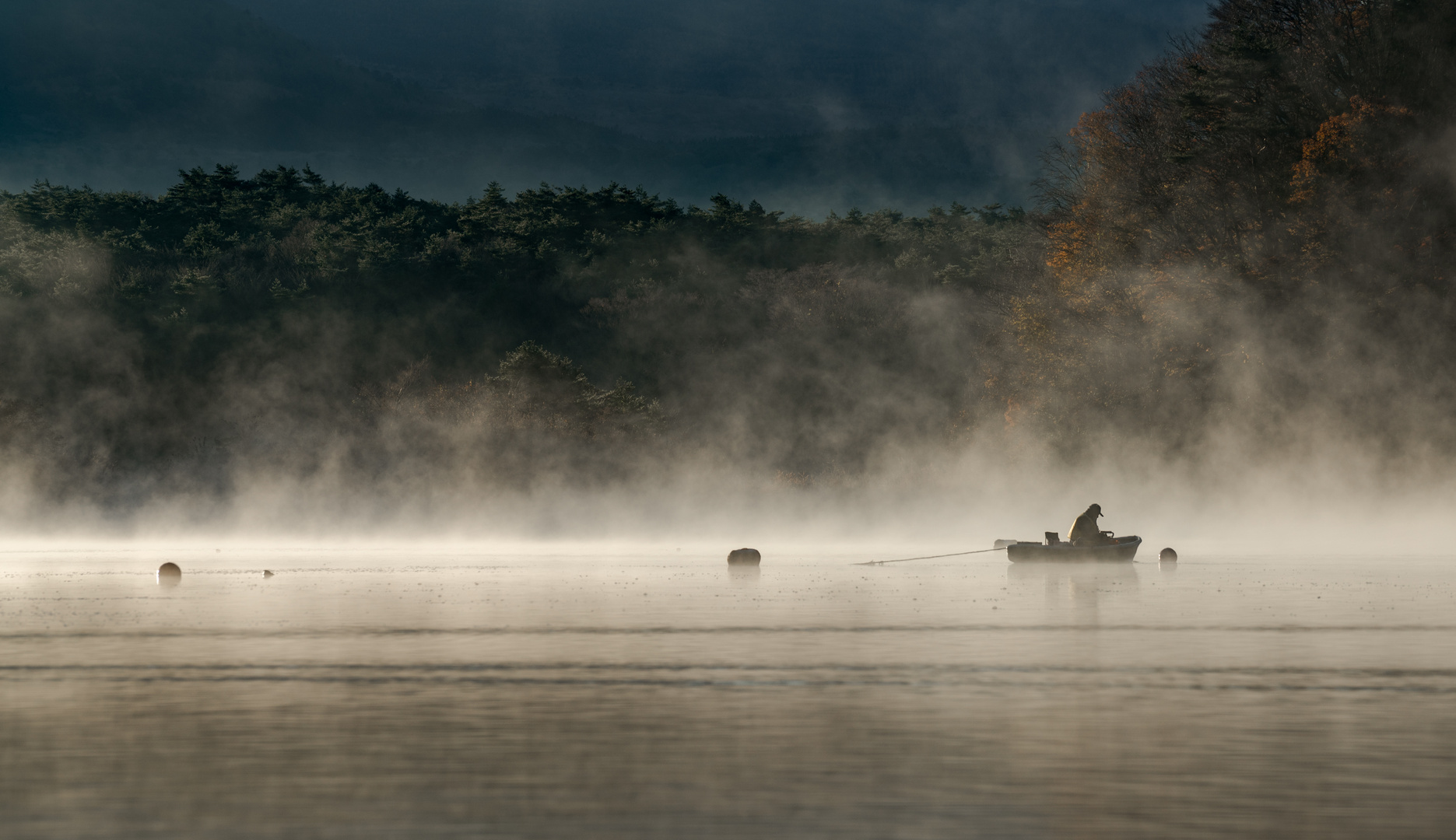 gone fishing