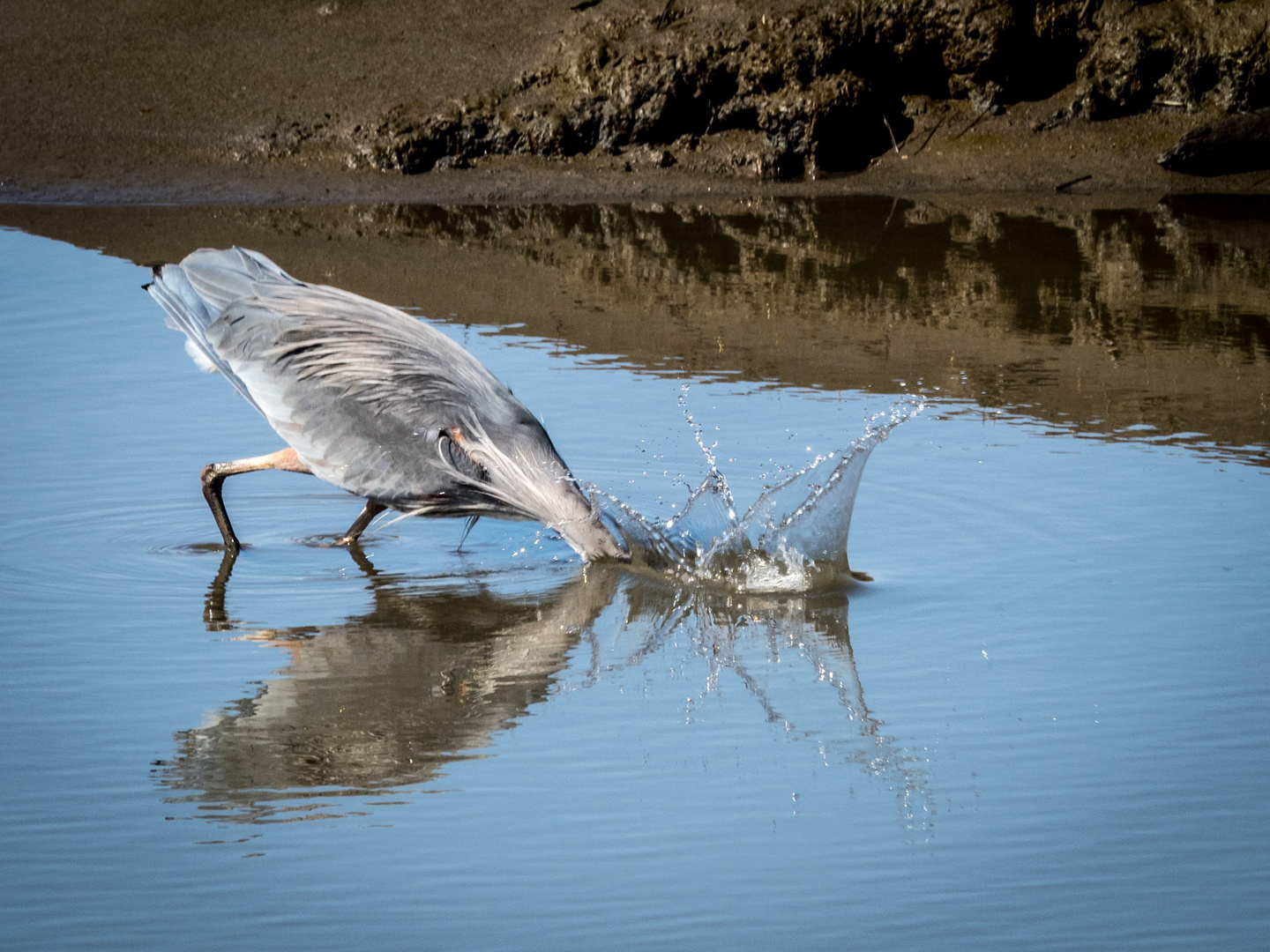 Gone fishing