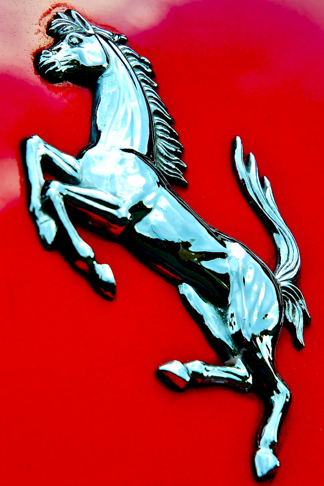 Gonna Ride The Wild Silver Horse