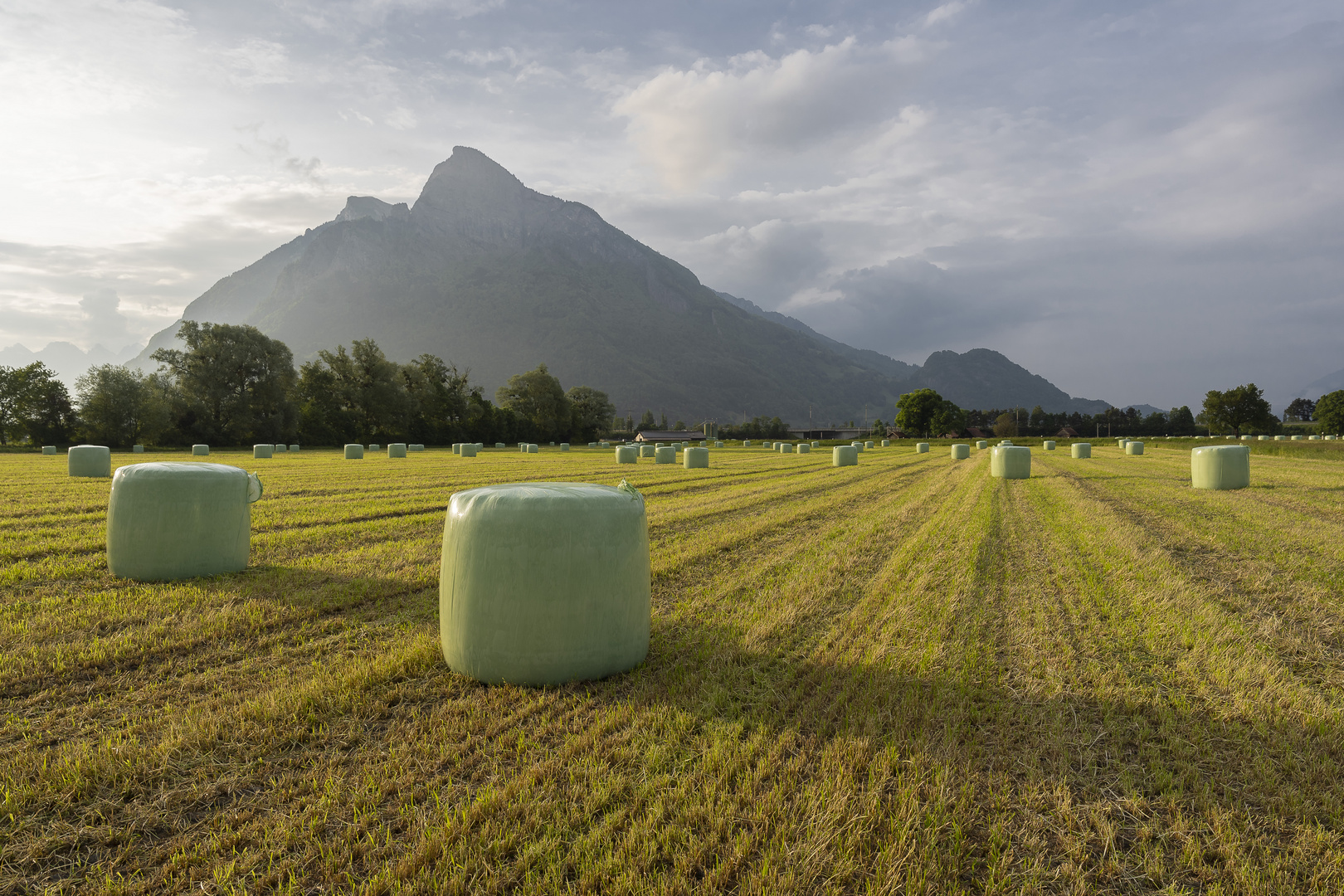 Gonzen, Sargans, Landschaft, Siloballen