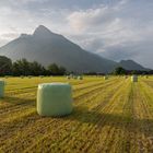 Gonzen, Sargans, Landschaft, Siloballen