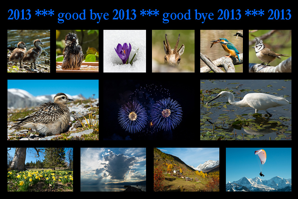 Good bye 2013
