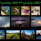 good-bye 2014