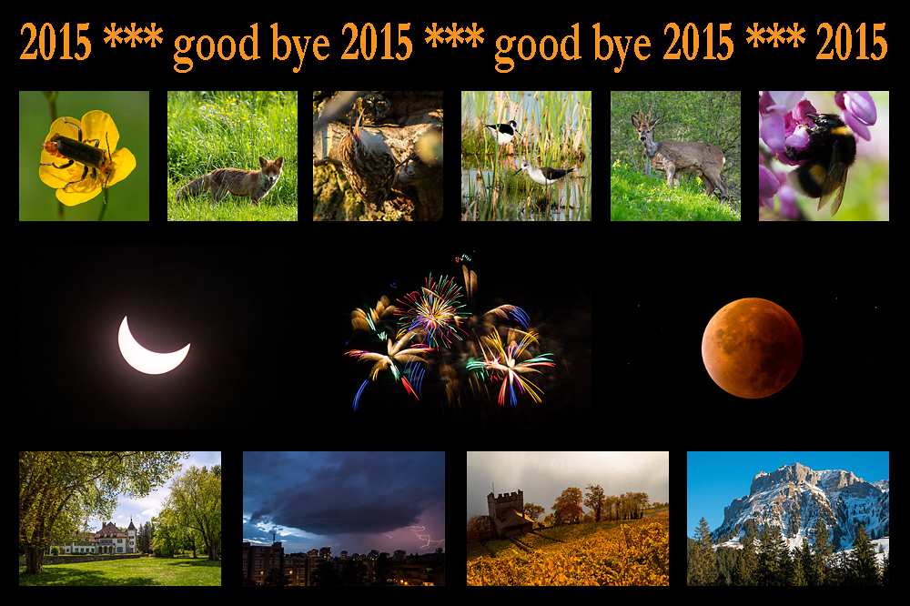 good bye 2015