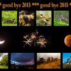 good bye 2015