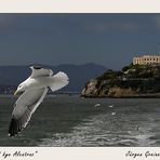 Good bye Alcatraz