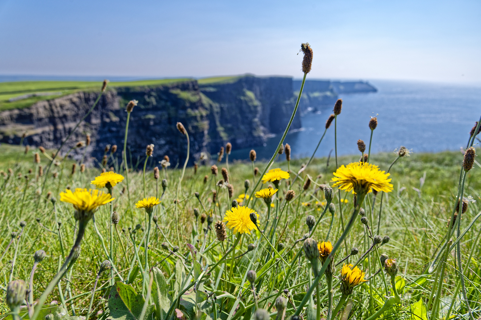 Good bye  Cliffs of Moher 