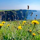 Good bye  Cliffs of Moher 