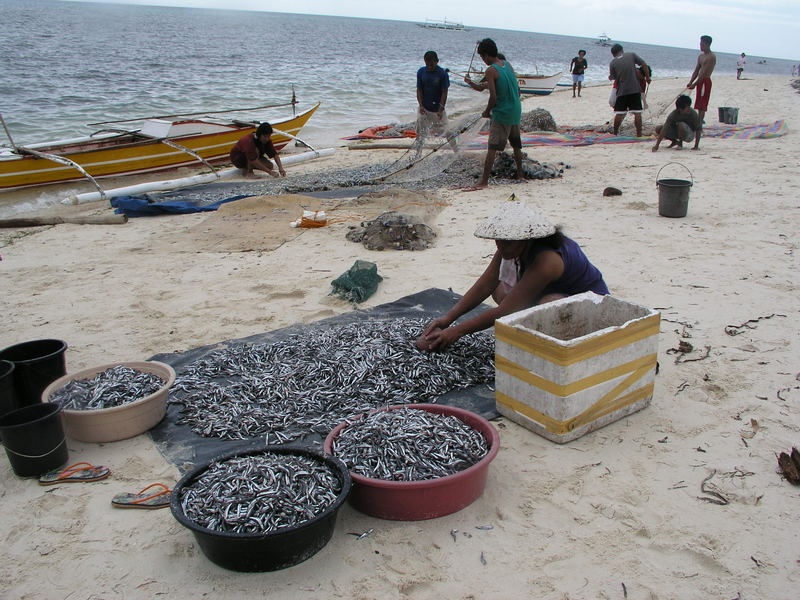 Good catch Lebud, Malapascua