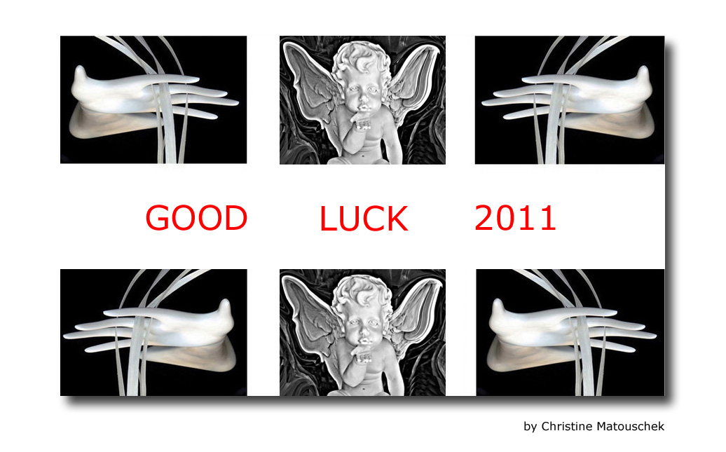 Good Luck 2011!