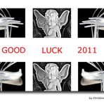 Good Luck 2011!