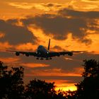 Good morning A-380 at Frankfurt