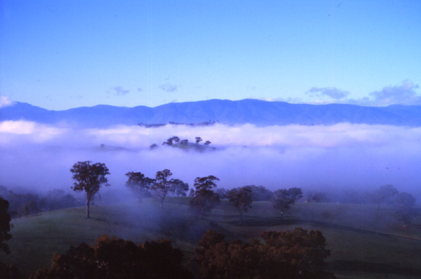 good morning Australia