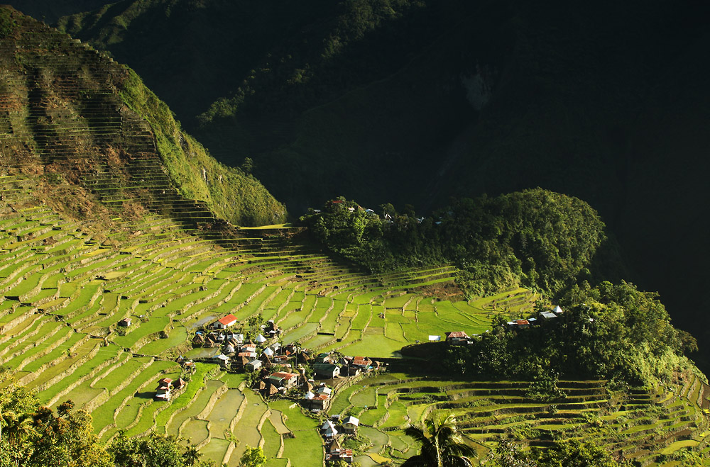 Good Morning Batad