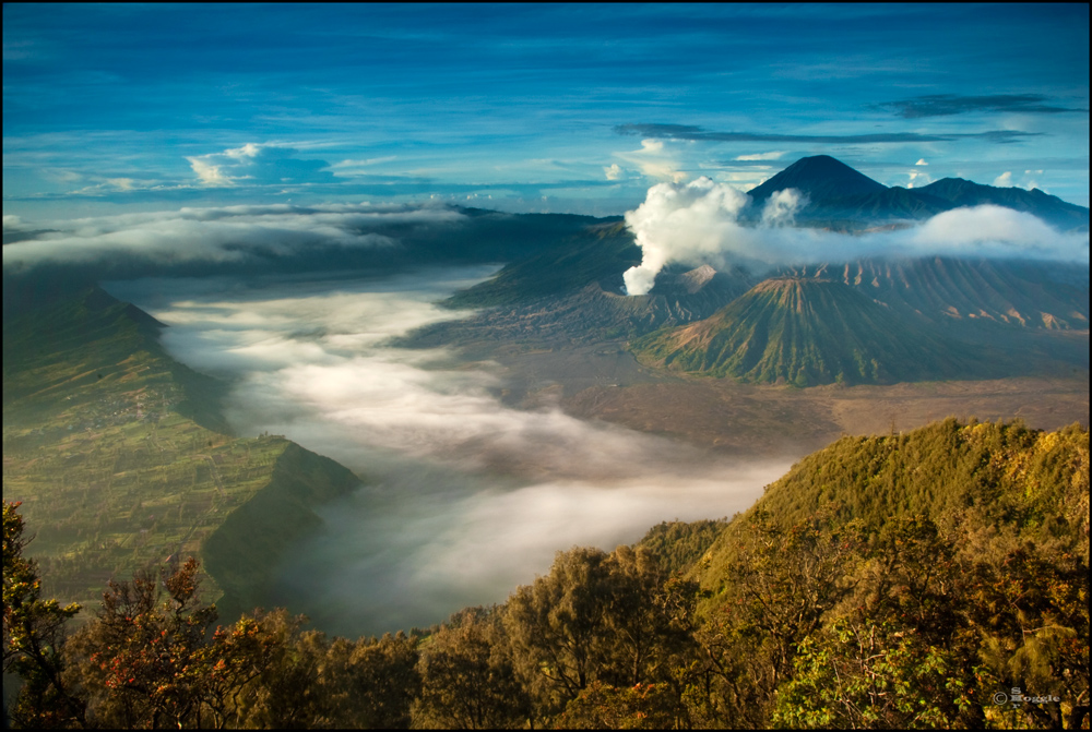 Good morning Bromo