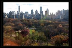 Good Morning Central Park