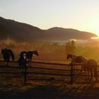 Good Morning Creighton Valley