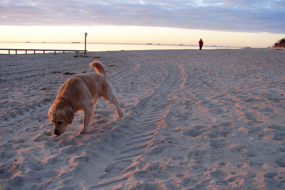 good morning föhr .VII.