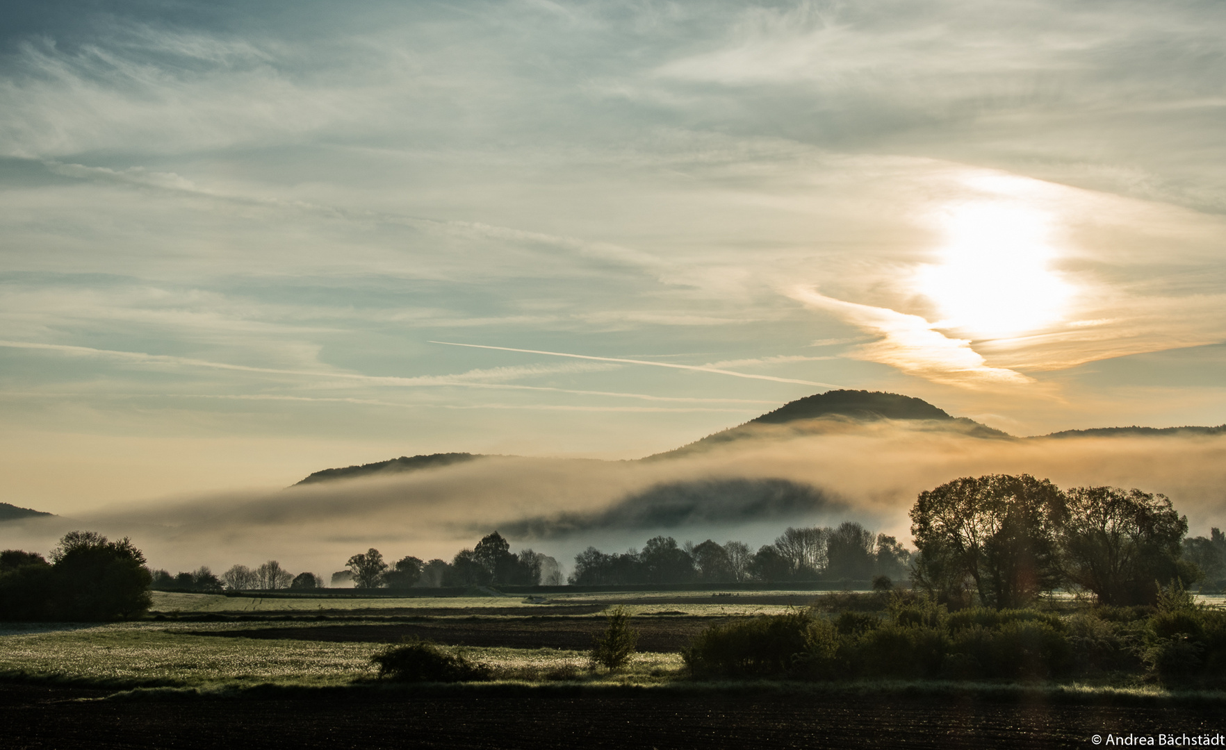 good morning Franconia