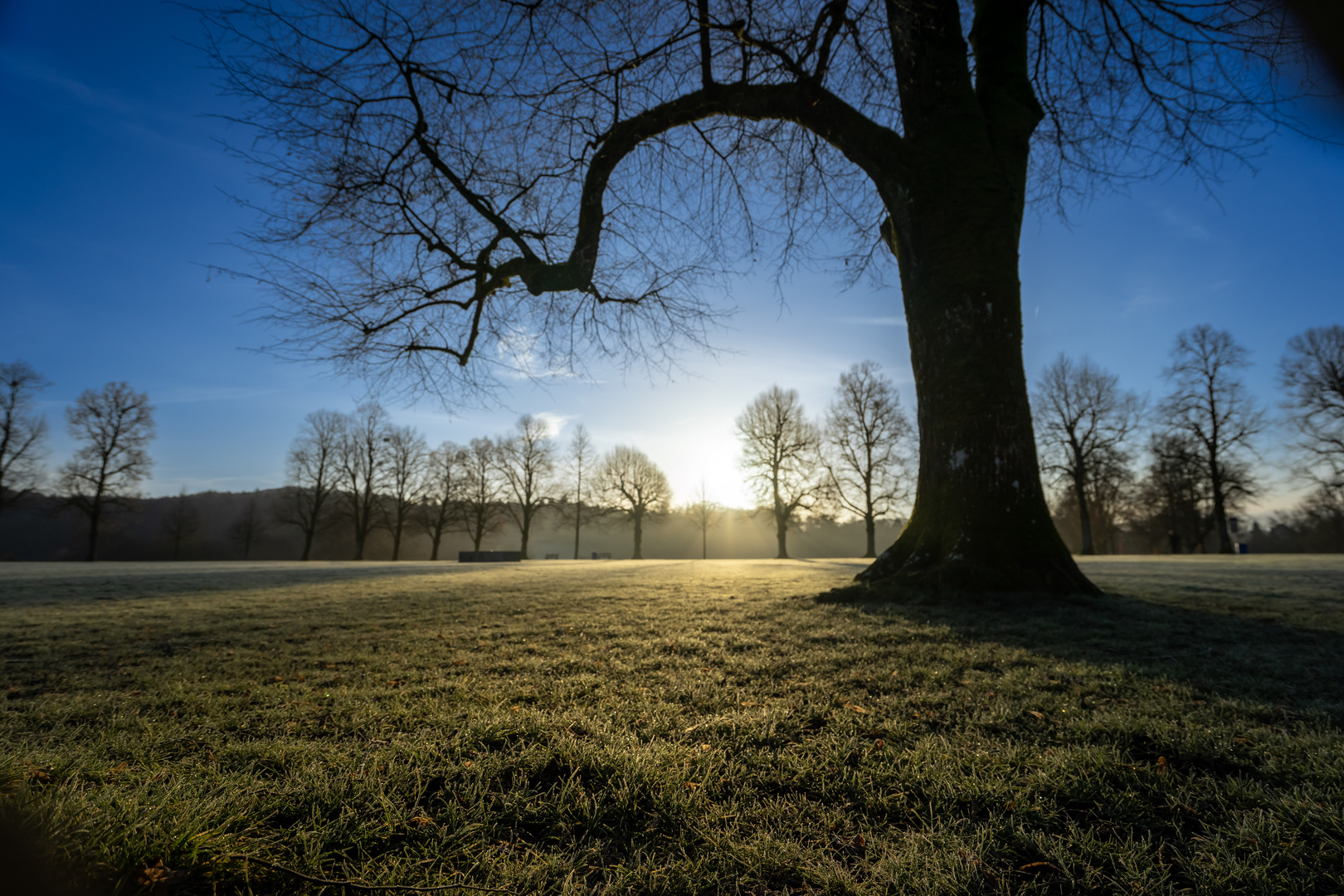 Good Morning Heitern