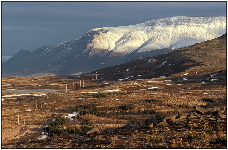 [ Good morning Iceland ]