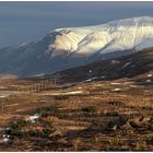 [ Good morning Iceland ]