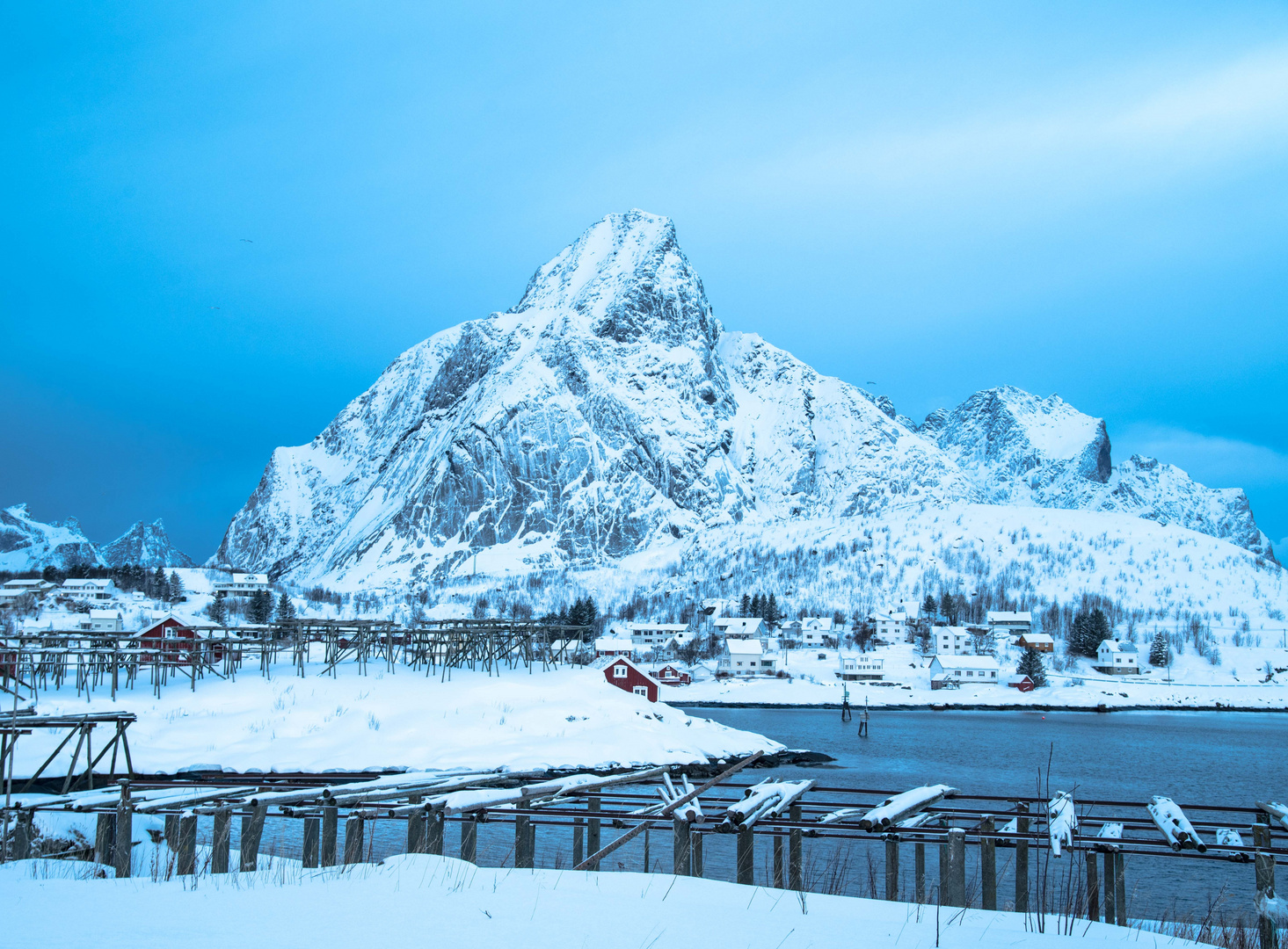 good morning in reine 