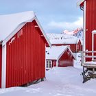 good morning in reine