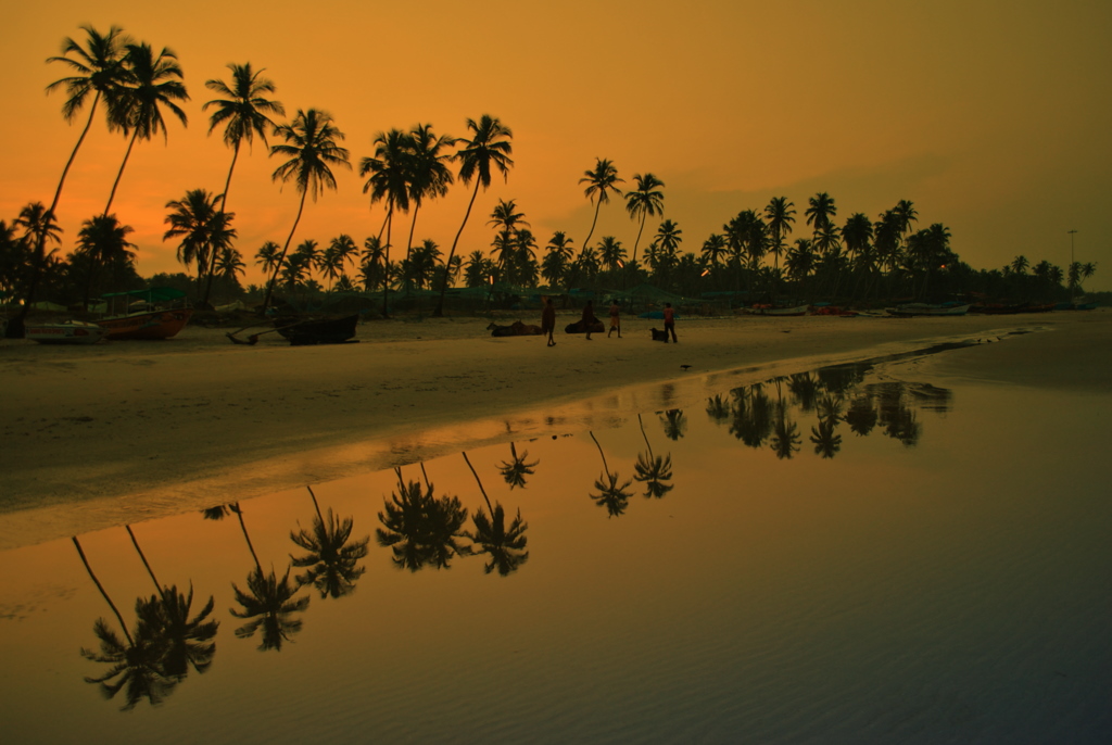 'Good Morning' inPalm Trees