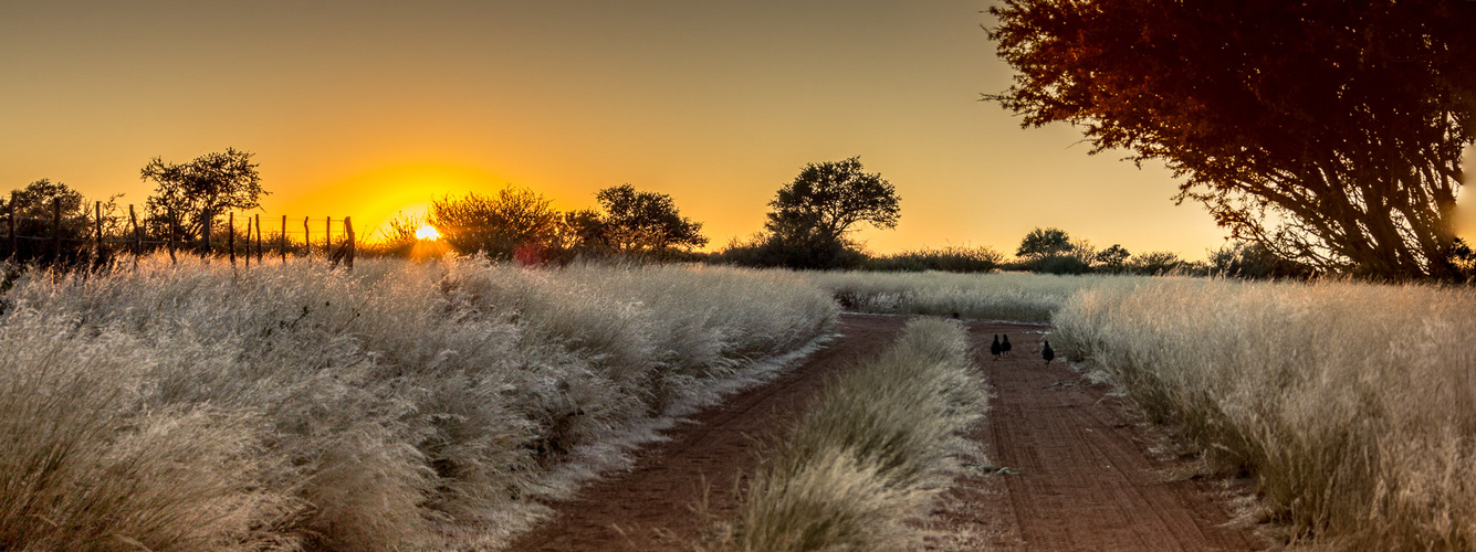 Good morning Kalahari