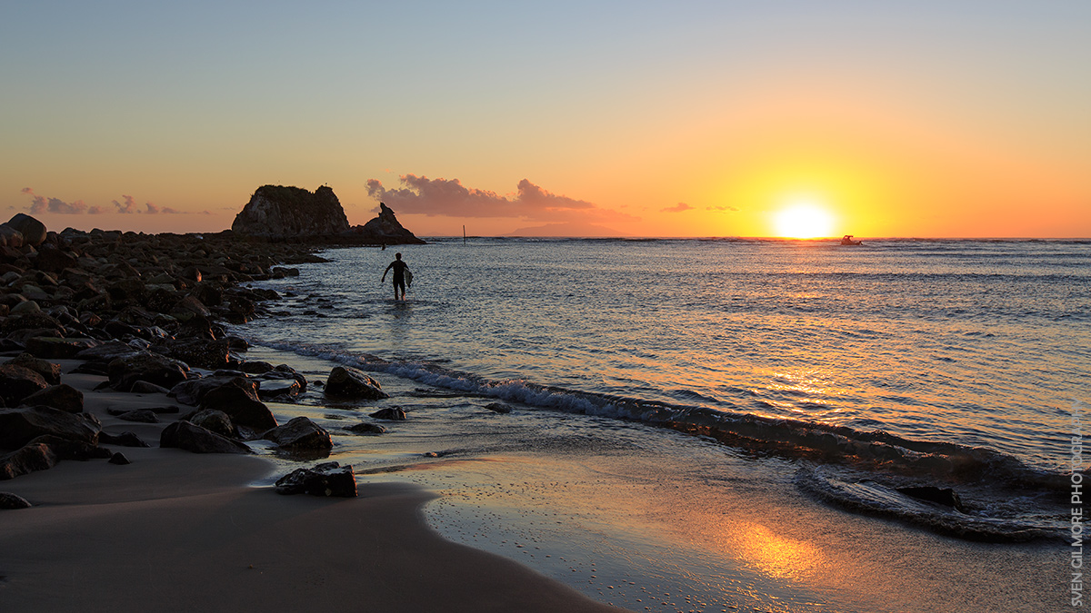 Good Morning! Lets go surfing dude ;-)