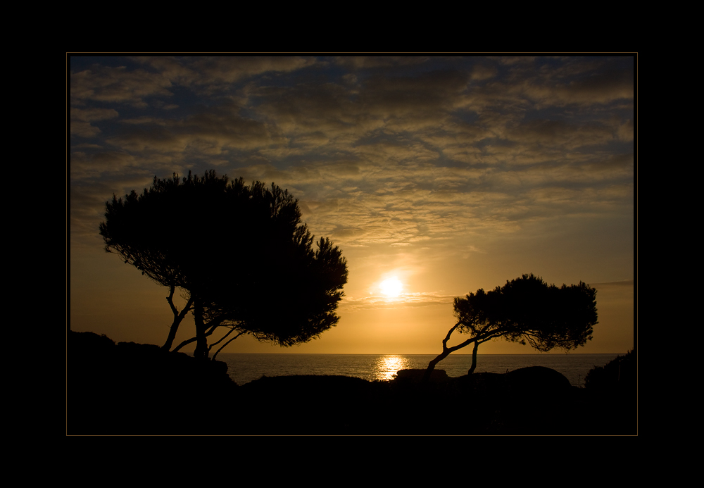 Good Morning, Mallorca! #2