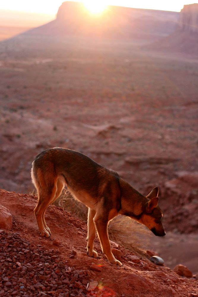 Good morning monument valley