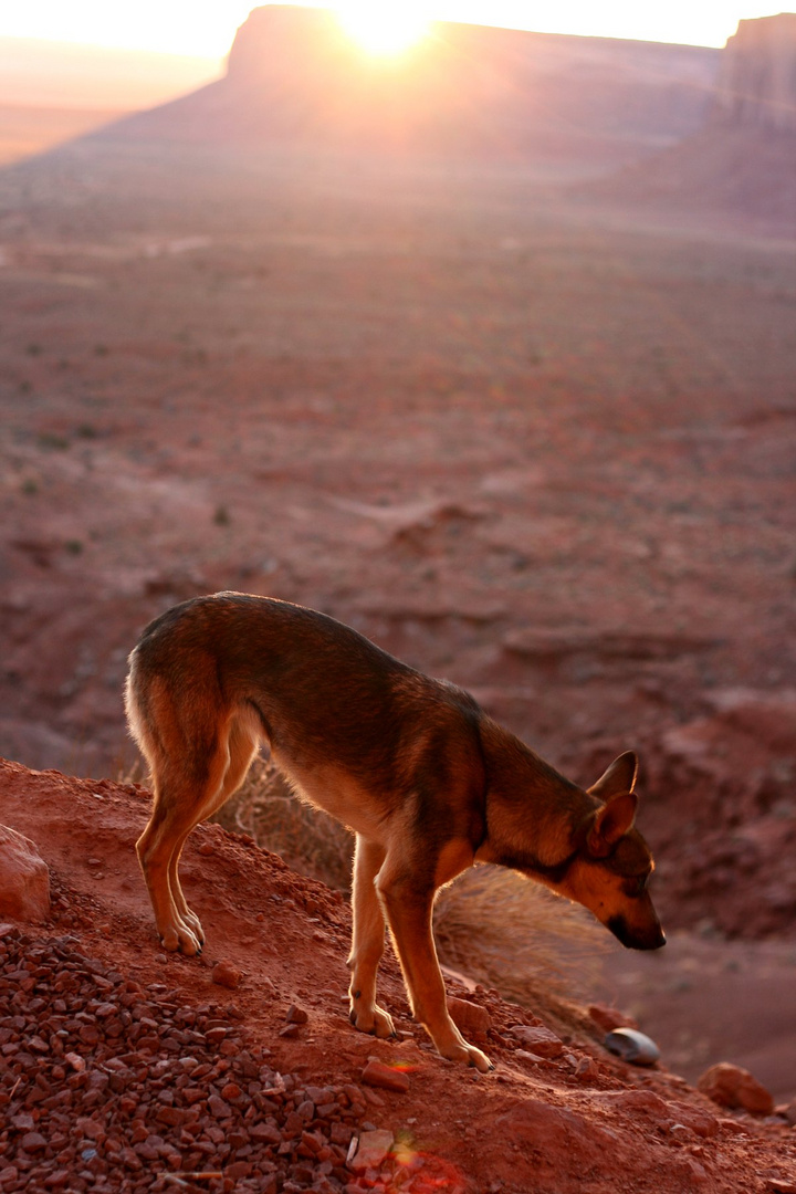 Good morning monument valley