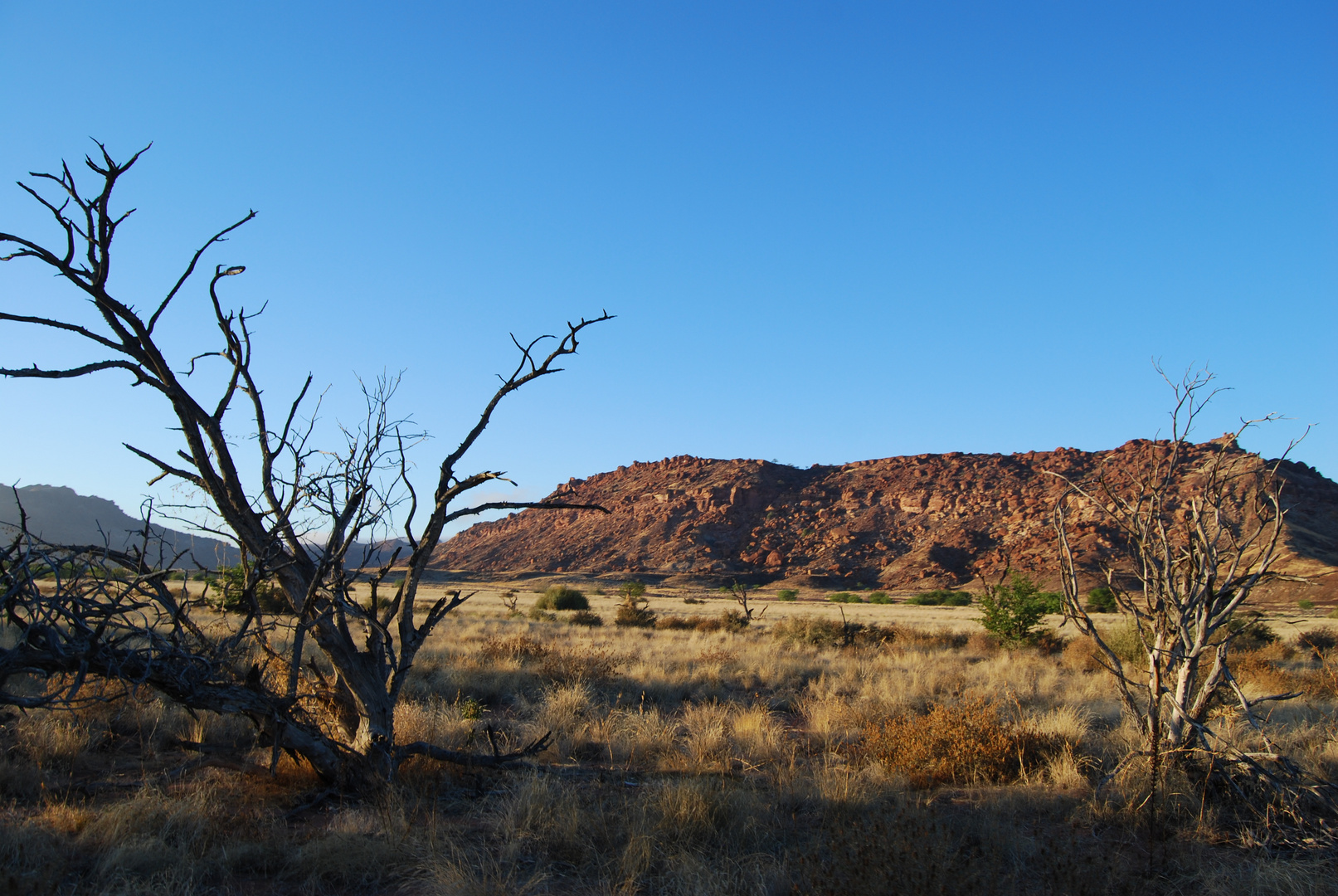 Good morning Namibia