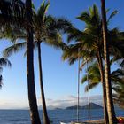 Good Morning, North - Queensland Australia