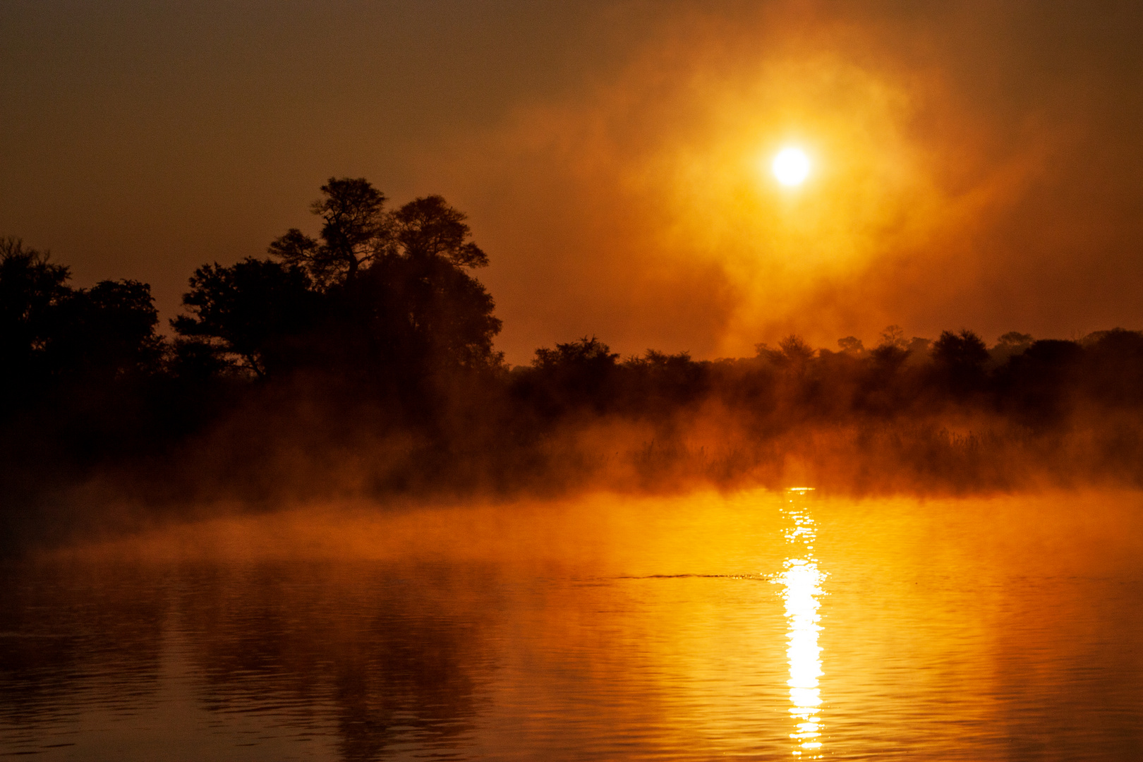 Good Morning Okavango