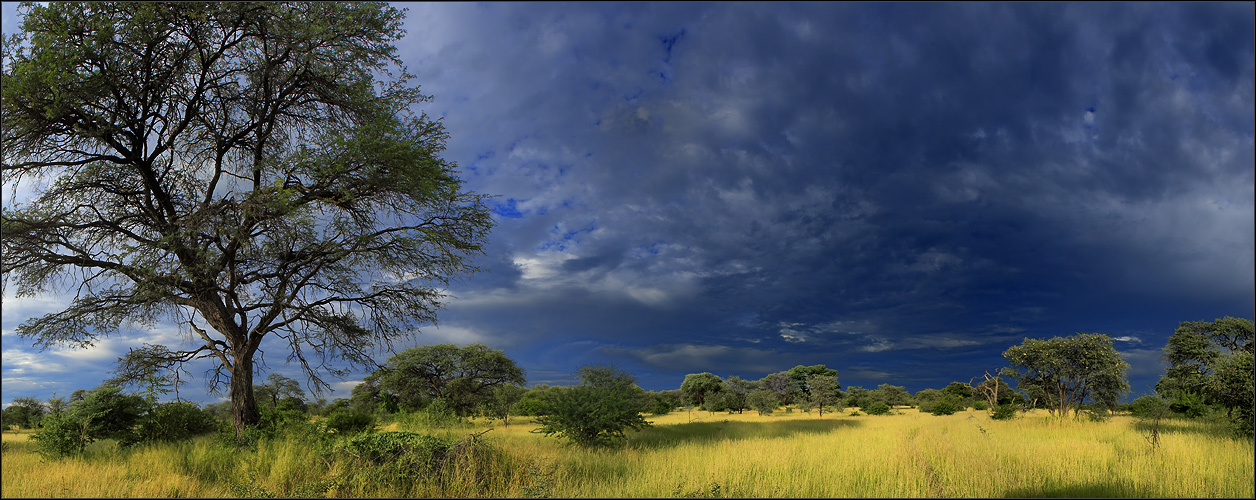 *--Good Morning Okavango-Delta--*