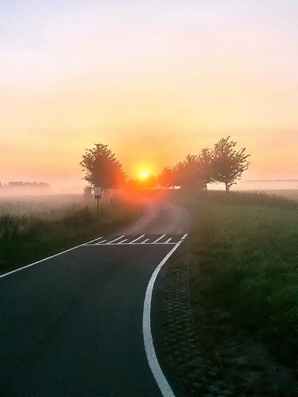 Good Morning Oranjedijk!