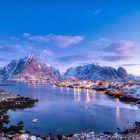 good morning reine