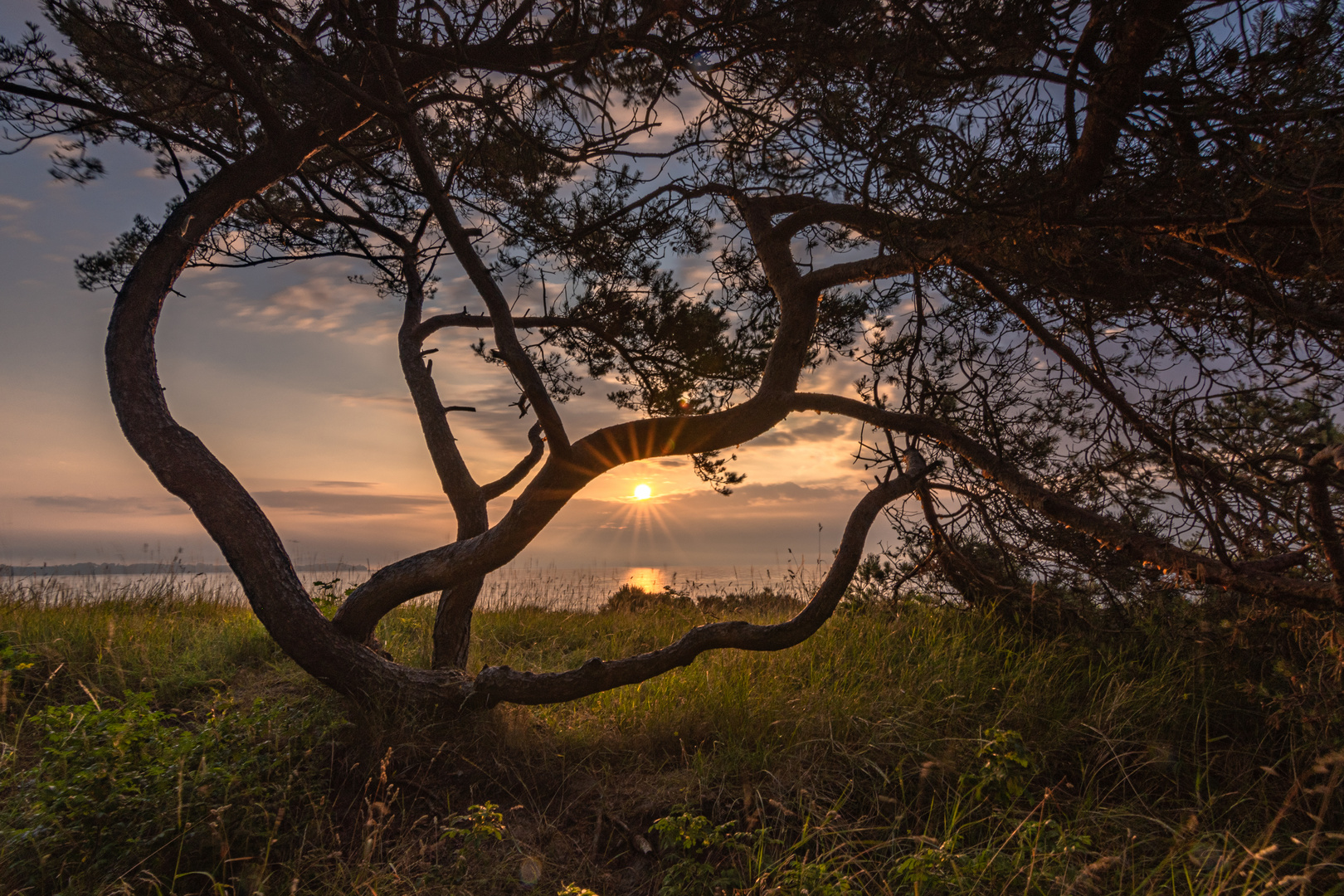 Good morning Rügen