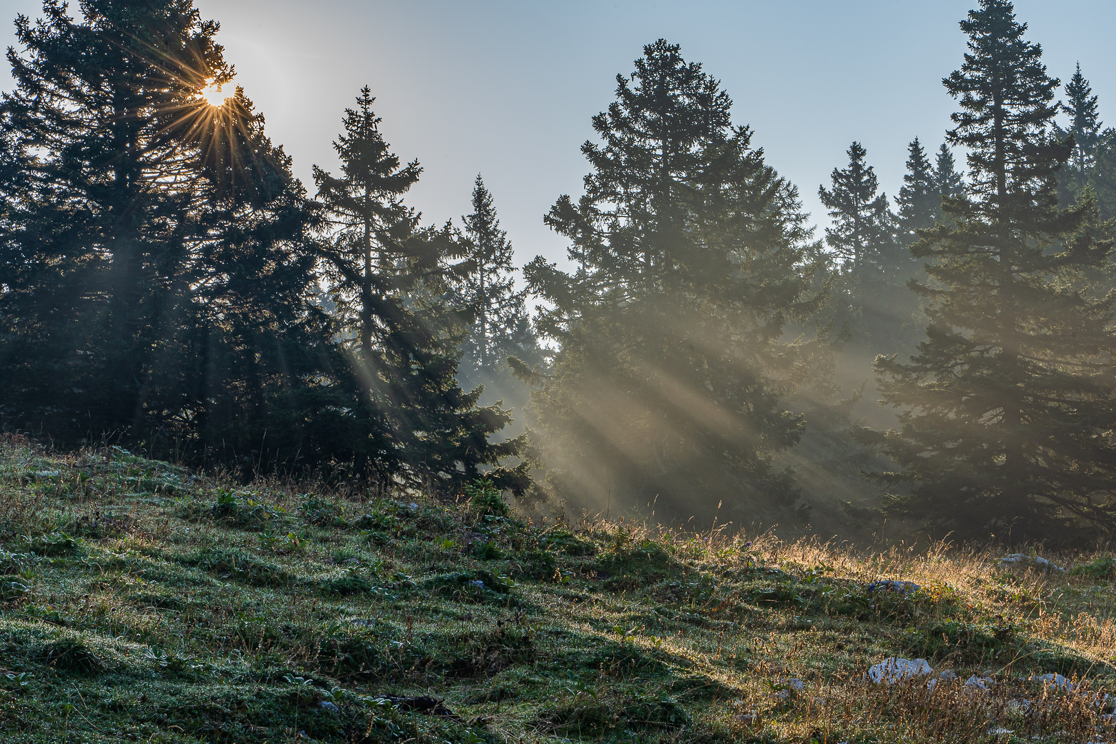 Good morning Sun and mist!